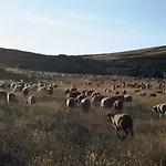 A Lagosta Perdida Montezinho