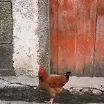 Hétvégi ház A Lagosta Perdida *