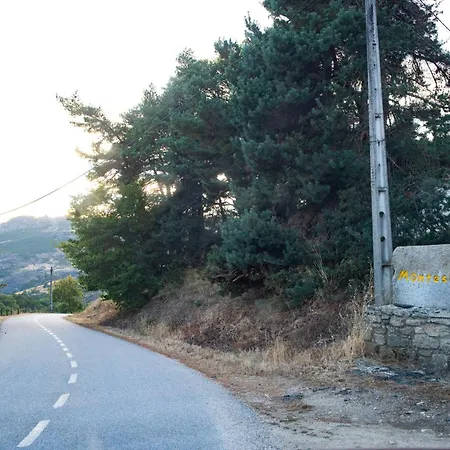 A Lagosta Perdida Montezinho