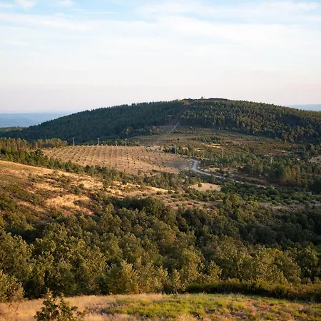 A Lagosta Perdida
