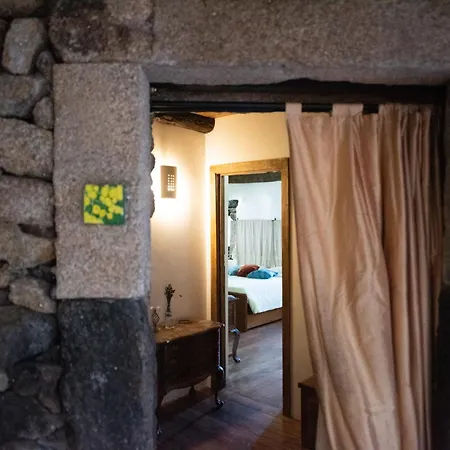 A Lagosta Perdida Montezinho