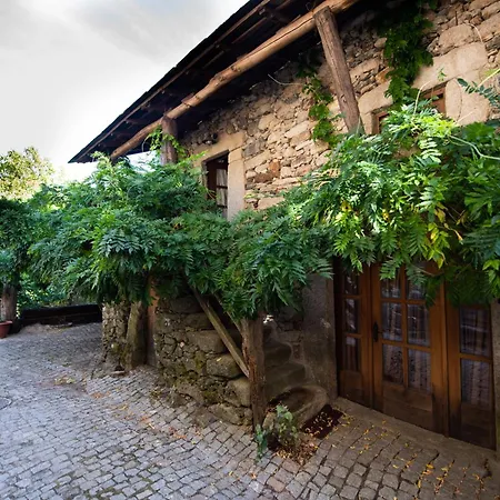 A Lagosta Perdida Montezinho