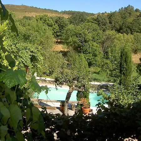 A Lagosta Perdida Montezinho