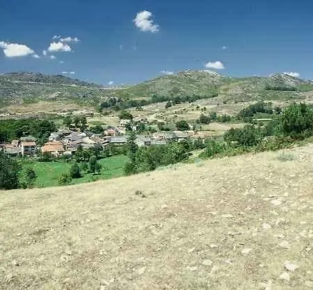 A Lagosta Perdida