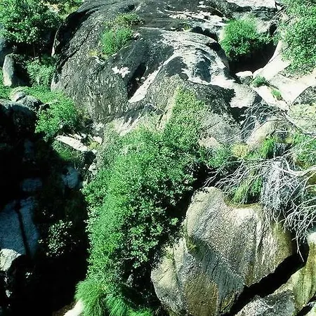 Lantställe A Lagosta Perdida Montezinho