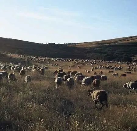 A Lagosta Perdida Montezinho