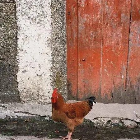 Landhuis A Lagosta Perdida *