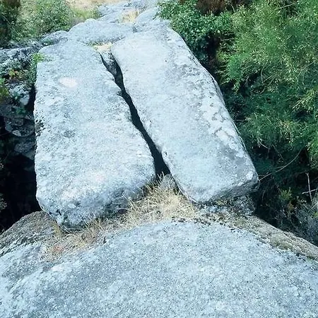 A Lagosta Perdida Montezinho