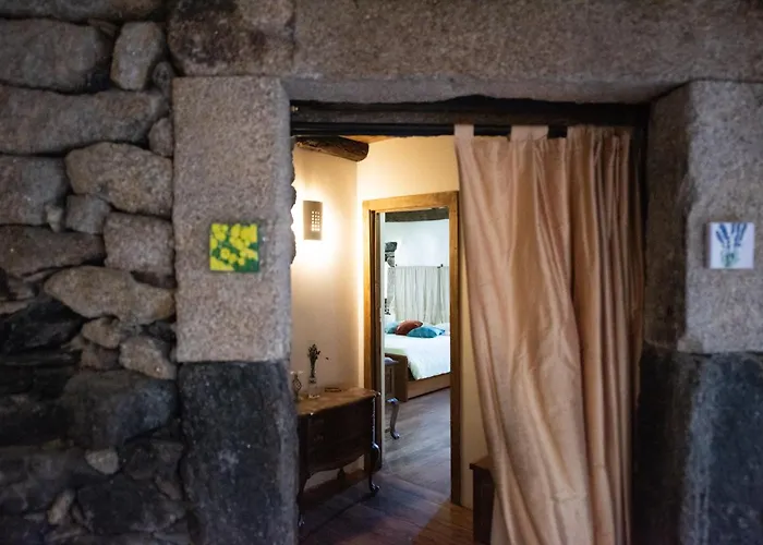 A Lagosta Perdida Montezinho