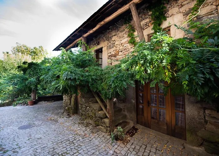 A Lagosta Perdida Montezinho