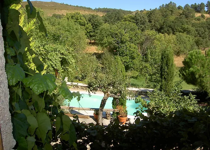 A Lagosta Perdida Montezinho