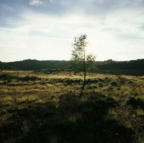 Lantställe A Lagosta Perdida *