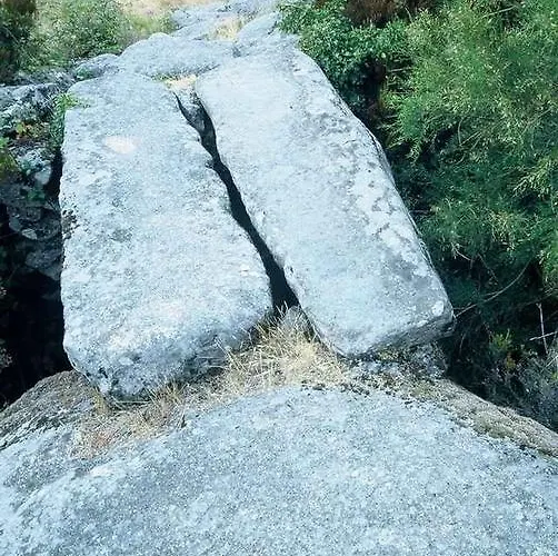 A Lagosta Perdida Montezinho