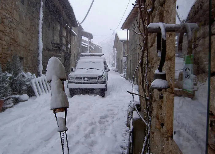 Landsted A Lagosta Perdida Montezinho