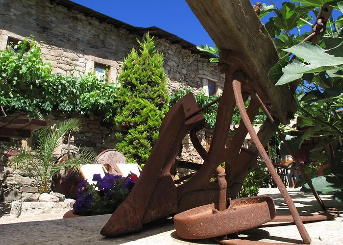 בית כפרי A Lagosta Perdida Montezinho